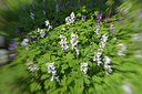 BUITEN BEELD Foto: 303655