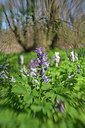 BUITEN BEELD Foto: 303656