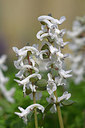 BUITEN BEELD Foto: 303677