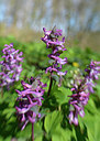 BUITEN BEELD Foto: 303678