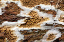 BUITEN BEELD Foto: 303681
