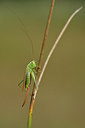 BUITEN BEELD Foto: 303709