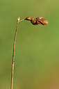 BUITEN BEELD Foto: 303724