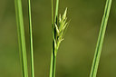 BUITEN BEELD Foto: 303727