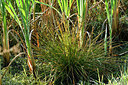 BUITEN BEELD Foto: 303734