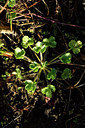 BUITEN BEELD Foto: 303743