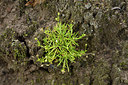 BUITEN BEELD Foto: 303756