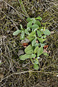 BUITEN BEELD Foto: 303766