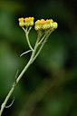 BUITEN BEELD Foto: 303773