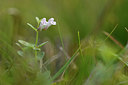BUITEN BEELD Foto: 303783