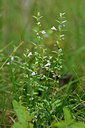 BUITEN BEELD Foto: 303793