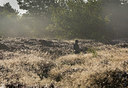 BUITEN BEELD Foto: 303834
