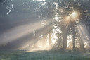 BUITEN BEELD Foto: 303836