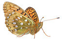 BUITEN BEELD Foto: 303841