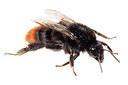 BUITEN BEELD Foto: 303848