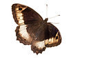 BUITEN BEELD Foto: 303869