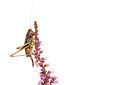 BUITEN BEELD Foto: 303873