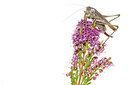 BUITEN BEELD Foto: 303880