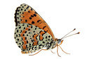 BUITEN BEELD Foto: 303921