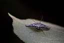 BUITEN BEELD Foto: 303969