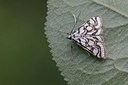 BUITEN BEELD Foto: 303970