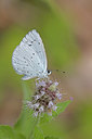 BUITEN BEELD Foto: 303995