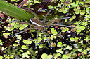 BUITEN BEELD Foto: 304005