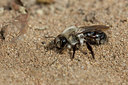 BUITEN BEELD Foto: 304008