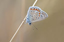 BUITEN BEELD Foto: 304022
