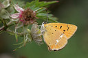 BUITEN BEELD Foto: 304034
