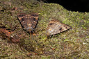 BUITEN BEELD Foto: 304043