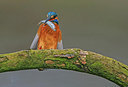 BUITEN BEELD Foto: 304047