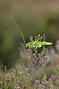BUITEN BEELD Foto: 304055