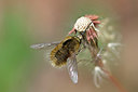 BUITEN BEELD Foto: 304078