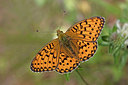 BUITEN BEELD Foto: 304099