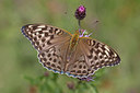 BUITEN BEELD Foto: 304102