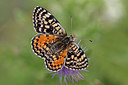 BUITEN BEELD Foto: 304111