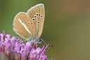 BUITEN BEELD Foto: 304113