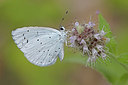 BUITEN BEELD Foto: 304115