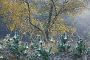 BUITEN BEELD Foto: 304157