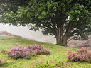 BUITEN BEELD Foto: 304170
