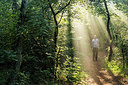 BUITEN BEELD Foto: 304175