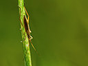 BUITEN BEELD Foto: 304191