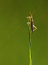 BUITEN BEELD Foto: 304192
