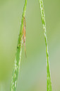 BUITEN BEELD Foto: 304193