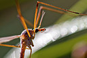 BUITEN BEELD Foto: 304202