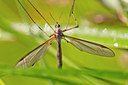 BUITEN BEELD Foto: 304204