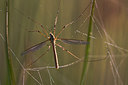 BUITEN BEELD Foto: 304206