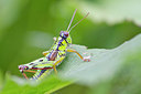 BUITEN BEELD Foto: 304214