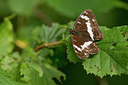 BUITEN BEELD Foto: 304243